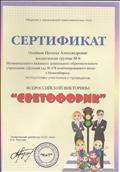 Сертификат за подготовку участников и проведение Всероссийской викторины "Сфетофорик" 2017г. Сертификат за подготовку участников и проведение Всероссийской викторины "Сфетофорик" 2017г.